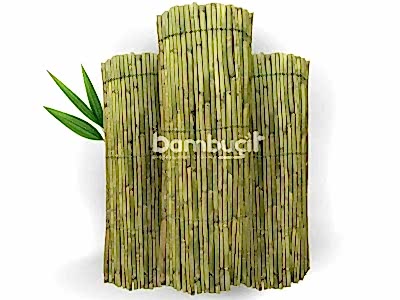 Bambu Kamış
