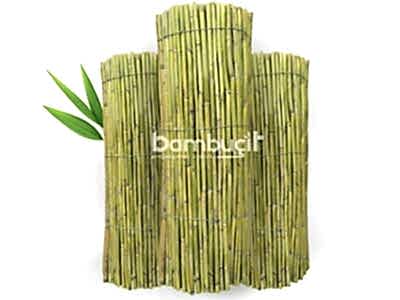Bambu Kamış
