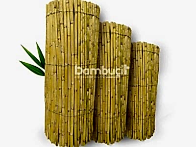 Bambu Paravan