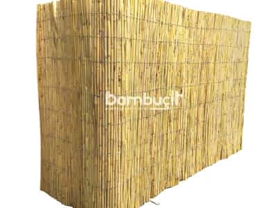 Bambu Kamış