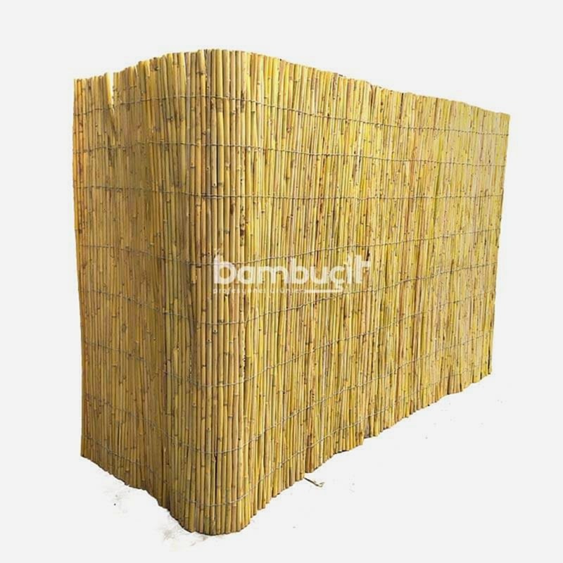 Bambu Paravan