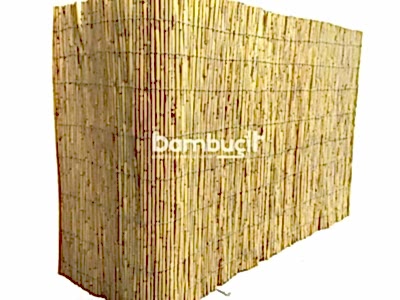 Bambu Paravan