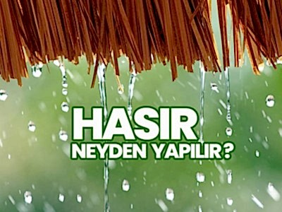 Hasır Neyden Yapılır?