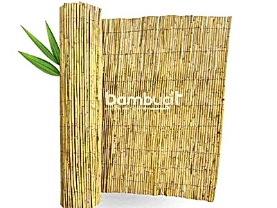 Bambu Çit