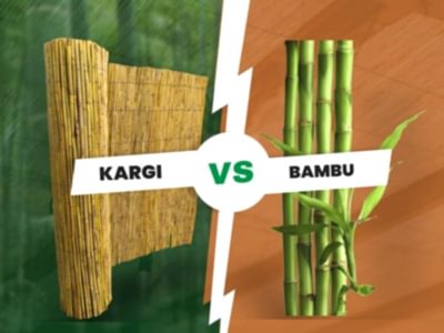 Bambu ve Kargı Arasındaki Farklar Nelerdir?