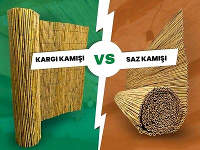 Kargı ve Saz Kamışı Arasındaki Farklar Nelerdir?