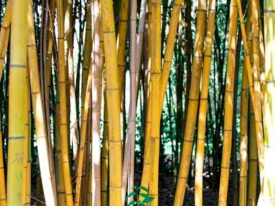 Kargıdan Neler Yapılır?